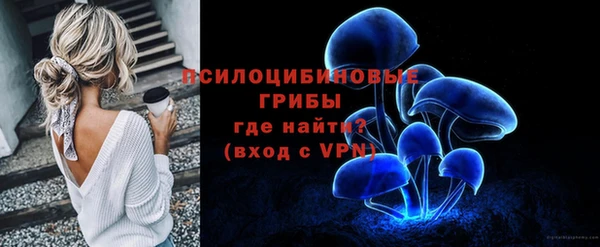 а пвп мука Елизово